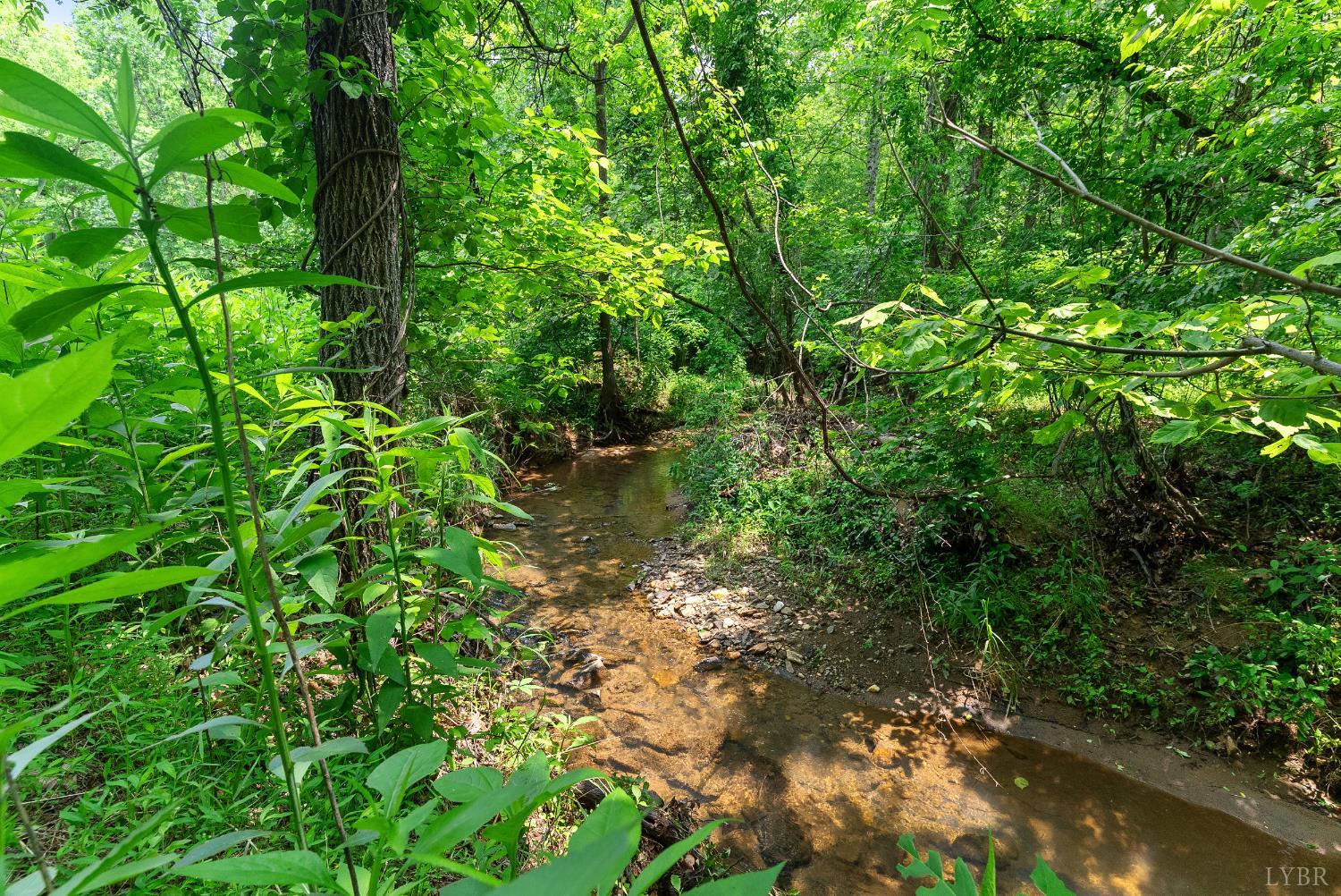 277 Crab Creek Rd Rd, Monroe, Virginia image 43