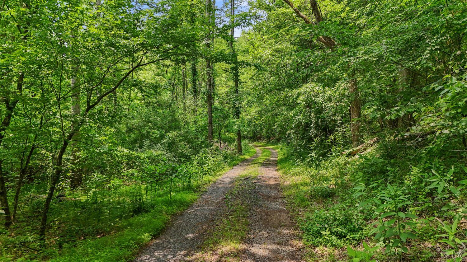 277 Crab Creek Rd Rd, Monroe, Virginia image 31