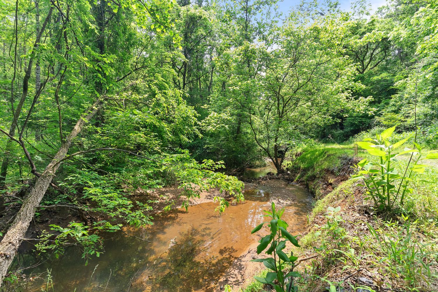 277 Crab Creek Rd Rd, Monroe, Virginia image 45