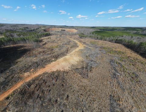 Tiny photo for 0 East Ferry Rd, Gladys, VA 24554 (MLS # 364986)