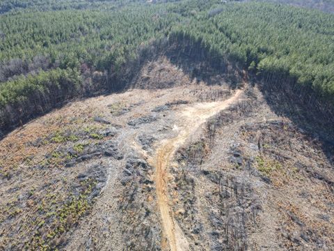 Tiny photo for 0 East Ferry Rd, Gladys, VA 24554 (MLS # 364986)