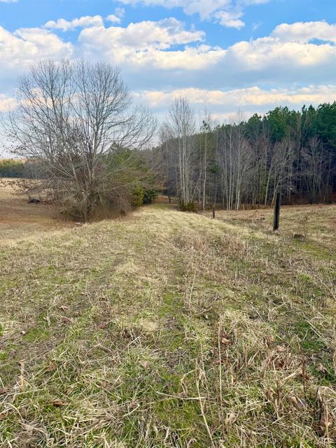 Tiny photo for 0 East Ferry Rd, Gladys, VA 24554 (MLS # 364986)