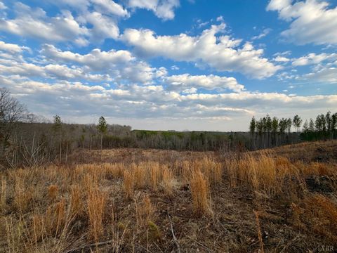 Tiny photo for 0 East Ferry Rd, Gladys, VA 24554 (MLS # 364986)