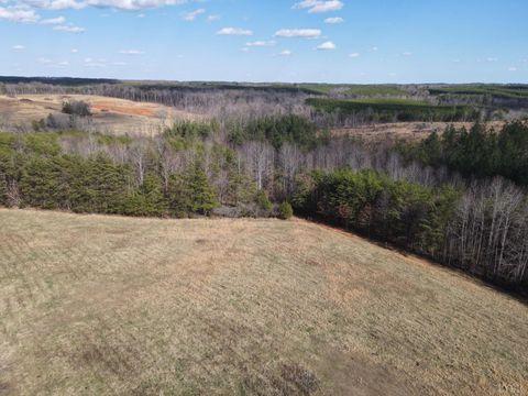 Tiny photo for 0 East Ferry Rd, Gladys, VA 24554 (MLS # 364986)