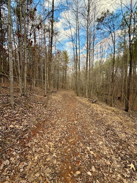 Tiny photo for 0 East Ferry Rd, Gladys, VA 24554 (MLS # 364986)