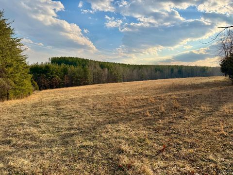 Tiny photo for 0 East Ferry Rd, Gladys, VA 24554 (MLS # 364986)