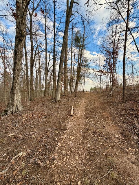 Tiny photo for 0 East Ferry Rd, Gladys, VA 24554 (MLS # 364986)