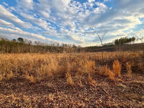 Tiny photo for 0 East Ferry Rd, Gladys, VA 24554 (MLS # 364986)