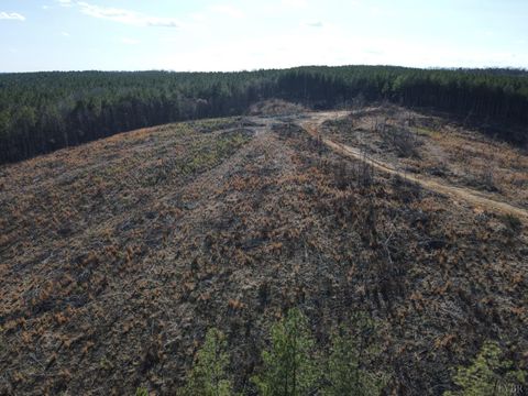 Tiny photo for 0 East Ferry Rd, Gladys, VA 24554 (MLS # 364986)