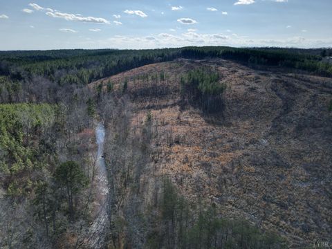 Tiny photo for 0 East Ferry Rd, Gladys, VA 24554 (MLS # 364986)