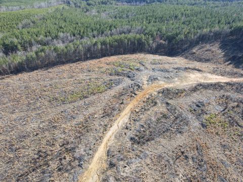 Tiny photo for 0 East Ferry Rd, Gladys, VA 24554 (MLS # 364986)