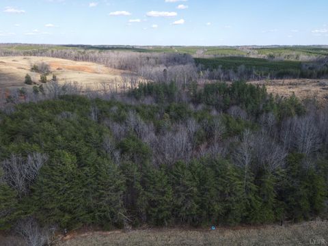 Tiny photo for 0 East Ferry Rd, Gladys, VA 24554 (MLS # 364986)