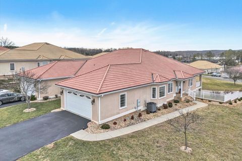 Tiny photo for 1049 San Marcos Court, Moneta, VA 24121 (MLS # 363993)