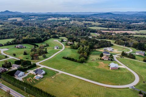 Tiny photo for 14 Nyle Ridge Road, Wirtz, VA 24184 (MLS # 362414)