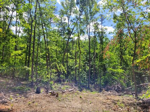 Tiny photo for 0 Totero Ct & Rosseechee Ct, Clarksville, VA 23927 (MLS # 359228)