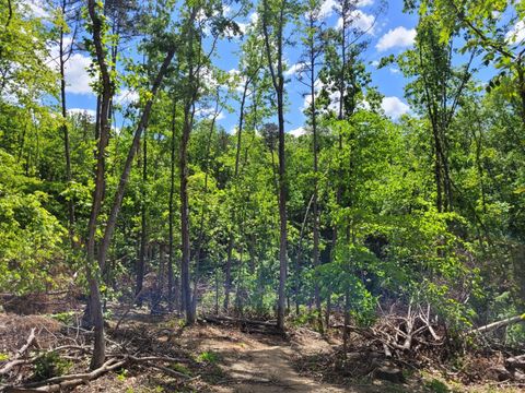 Tiny photo for 0 Totero Ct & Rosseechee Ct, Clarksville, VA 23927 (MLS # 359228)