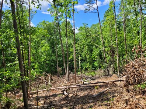 Photo of 0 Totero Ct & Rosseechee Ct, Clarksville, VA 23927 (MLS # 359228)