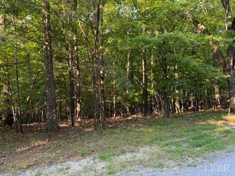 Vacant Land For Sale - 22 Woodshire Drive<br/> Blue Ridge, VA 24064