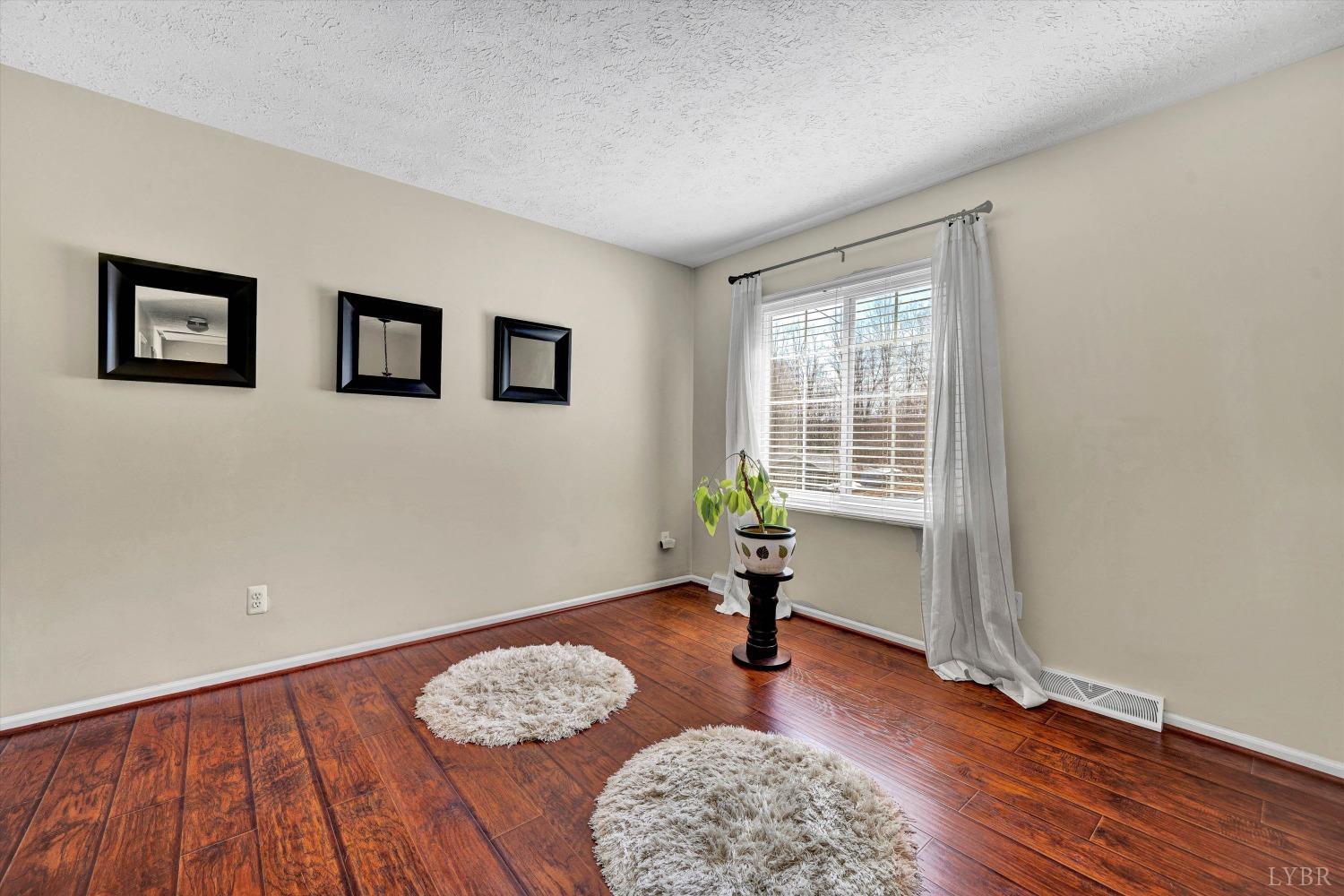 505 Sweeney Circle, Forest, Virginia image 6