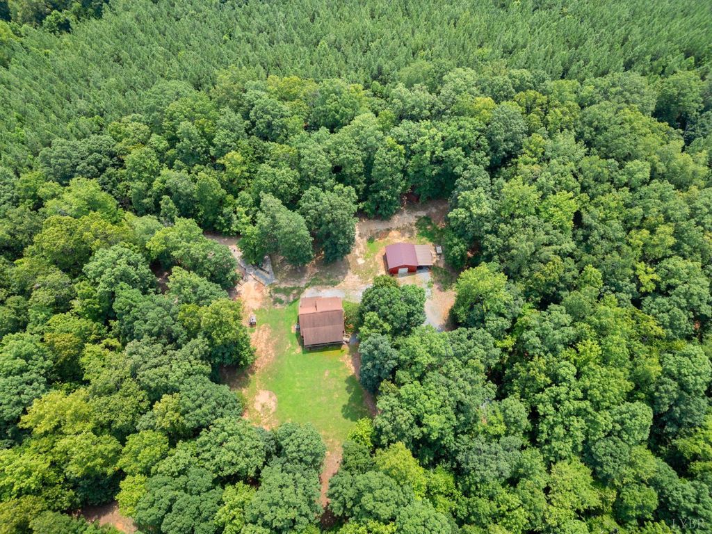 Photo for 1239 Hummingbird Lane, Bedford, VA 24523 (MLS # 362180)