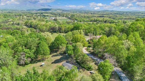 Tiny photo for 2781 Johnson School Road, Thaxton, VA 24174 (MLS # 366001)