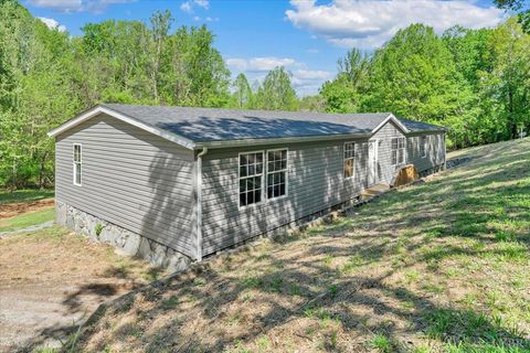 Photo of 2781 Johnson School Road, Thaxton, VA 24174 (MLS # 366001)