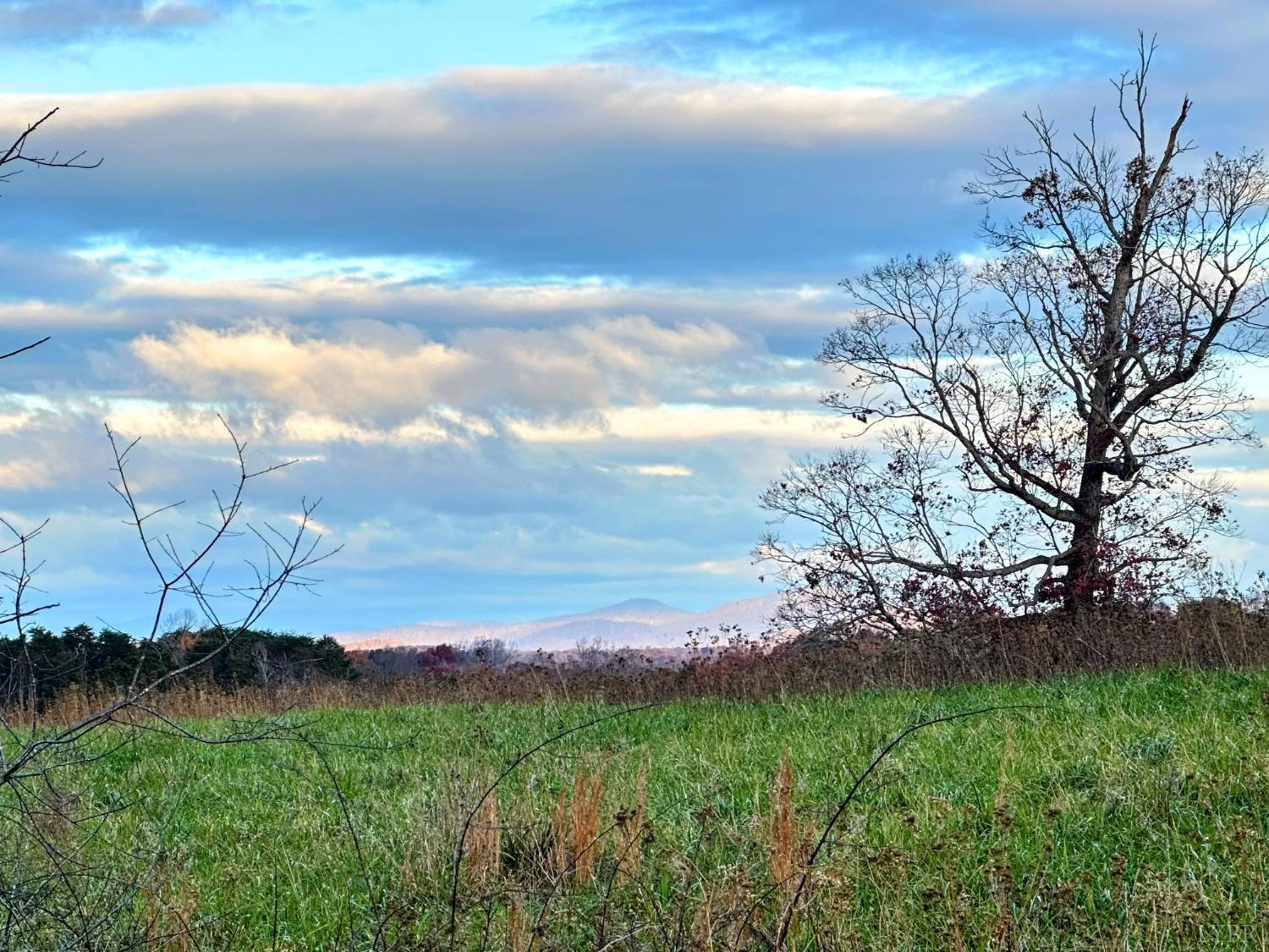 Hickory Cove Lane, Moneta, Virginia image 43