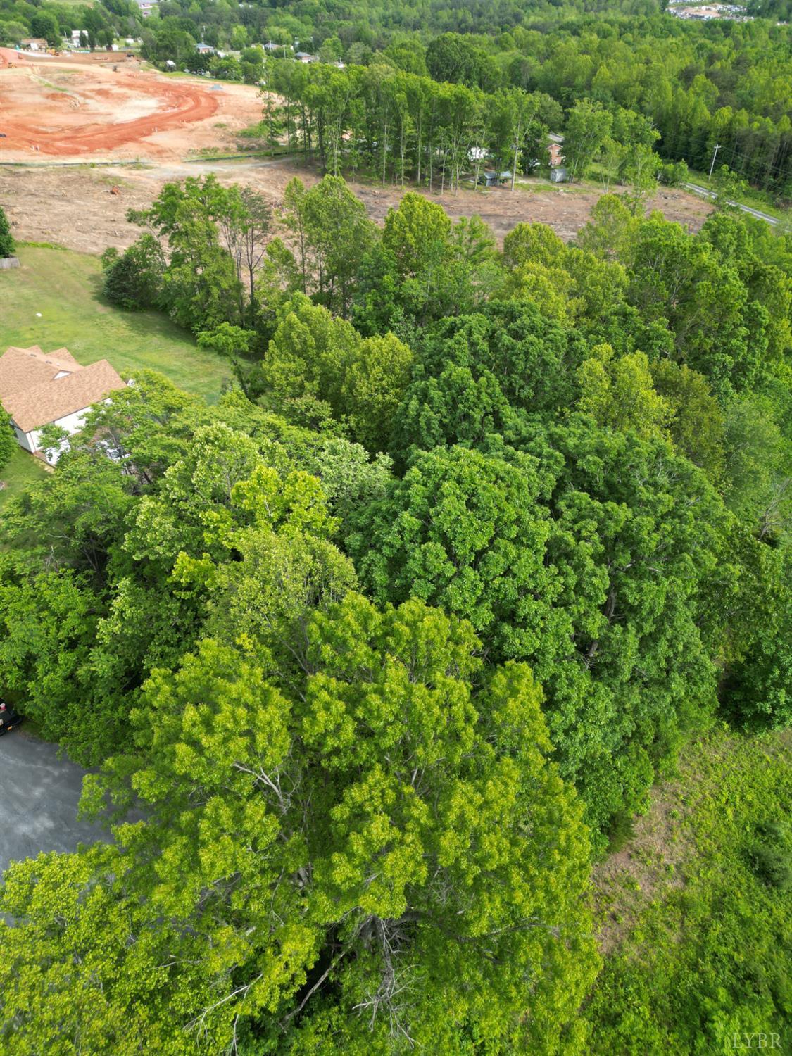 Crestview Drive, Rustburg, Virginia image 6