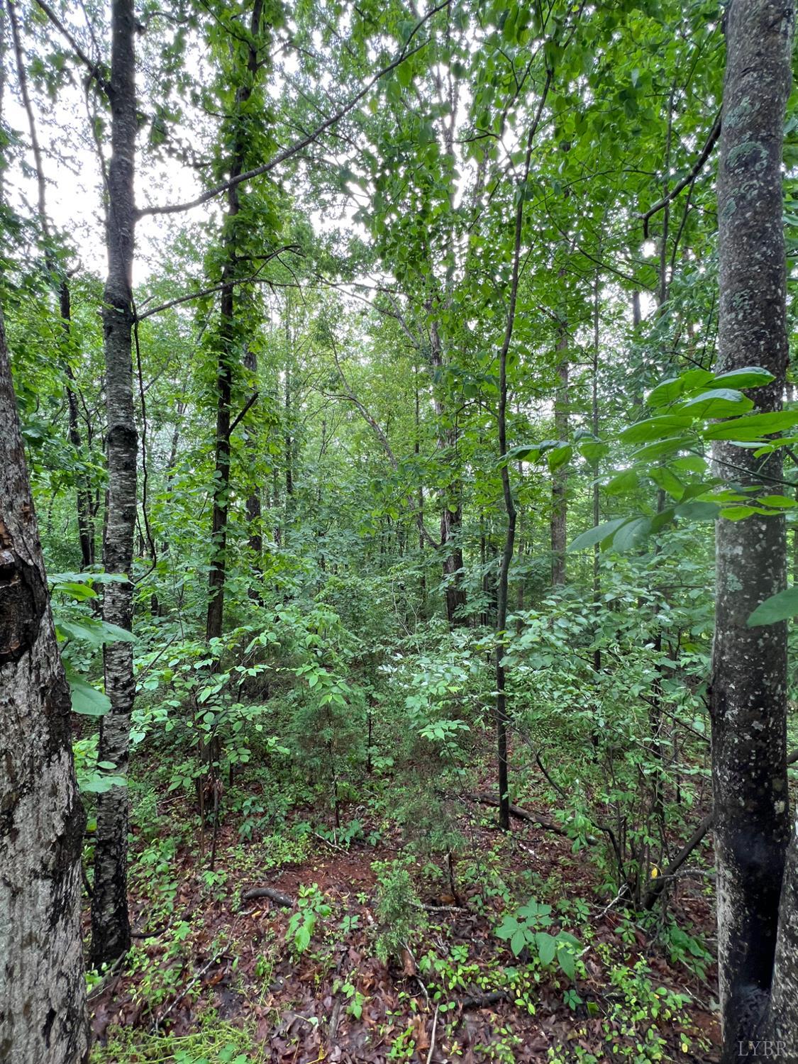 Crestview Drive, Rustburg, Virginia image 3