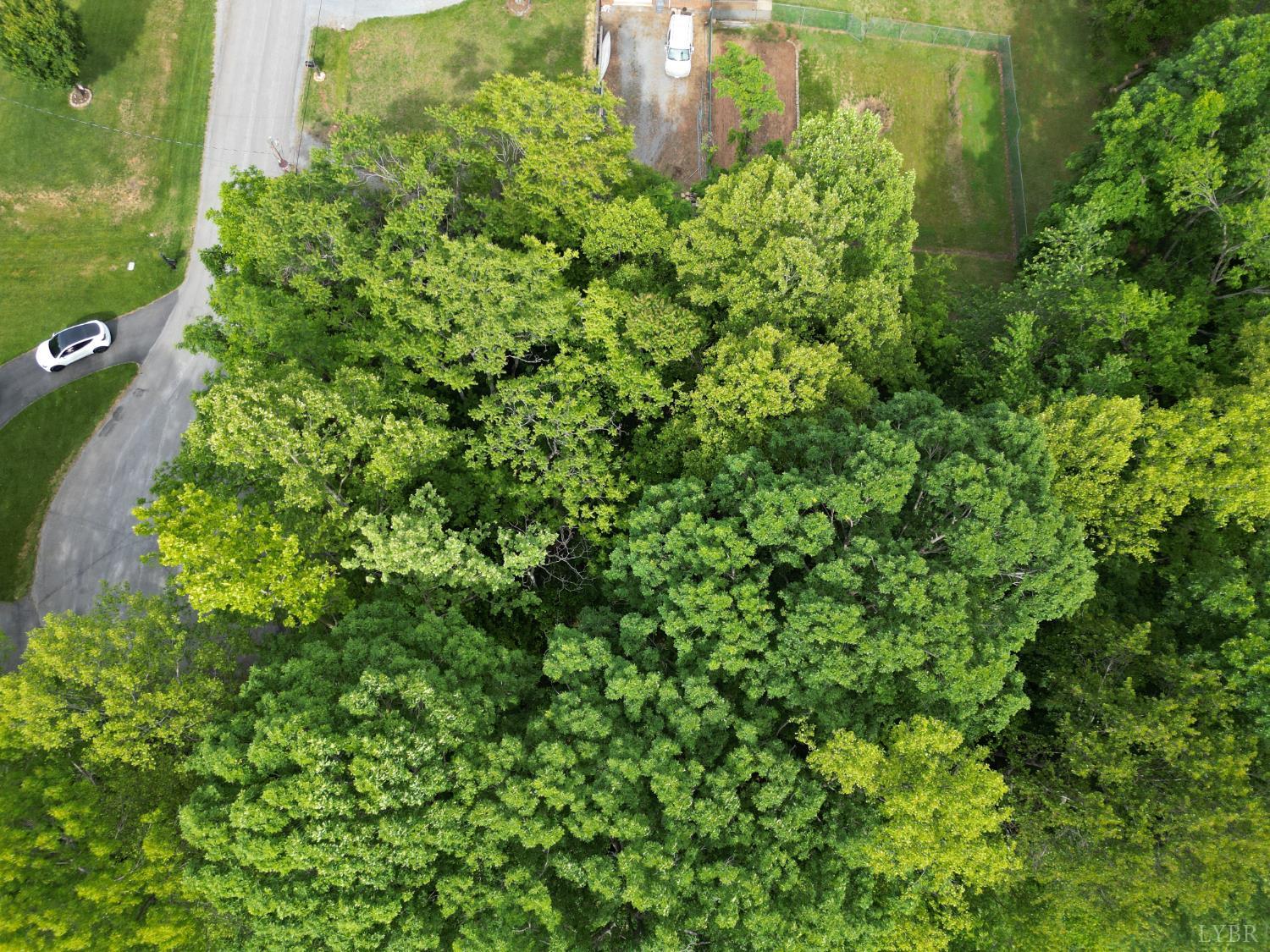 Crestview Drive, Rustburg, Virginia image 10
