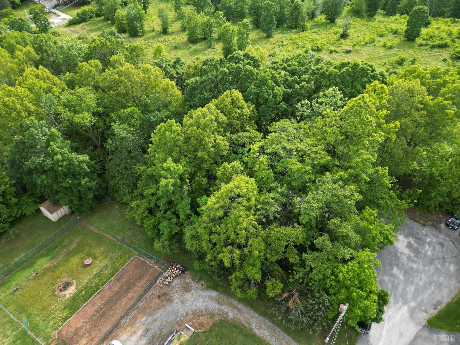 Crestview Drive, Rustburg, Virginia image 9