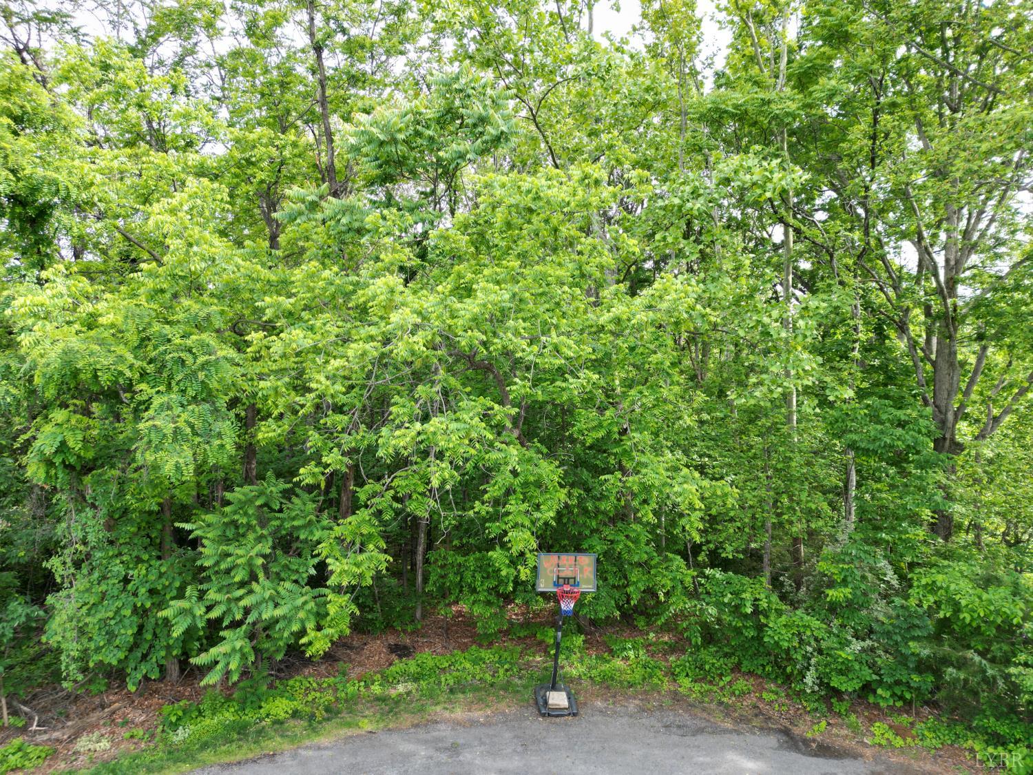 Crestview Drive, Rustburg, Virginia image 11