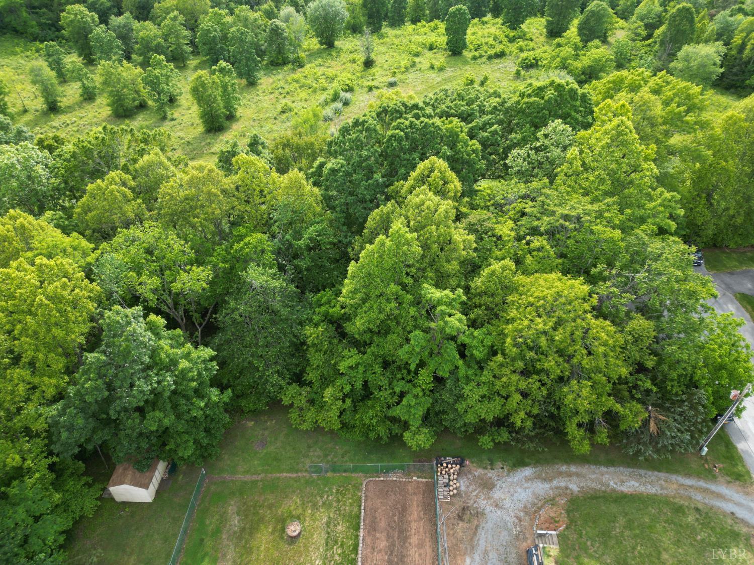 Crestview Drive, Rustburg, Virginia image 8