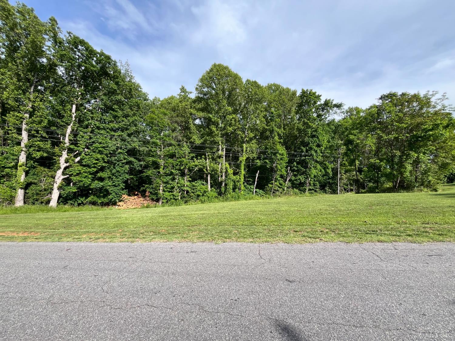 153 Countryside Drive, Appomattox, Virginia image 3