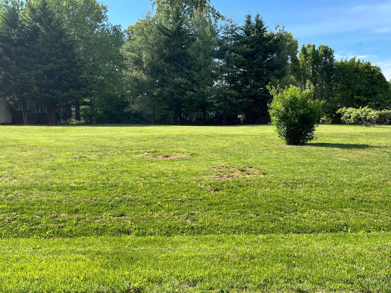 153 Countryside Drive, Appomattox, Virginia image 2