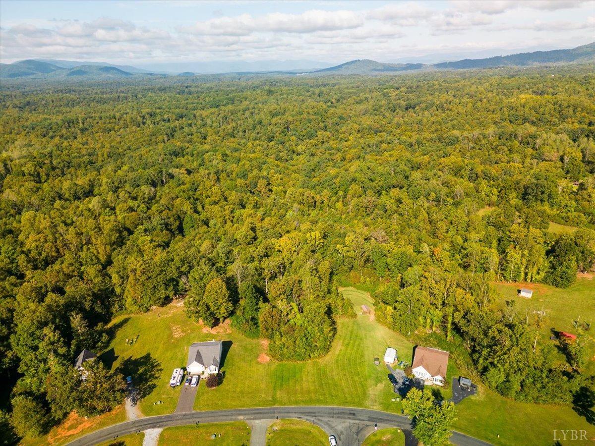 River Road, Madison Heights, Virginia image 2
