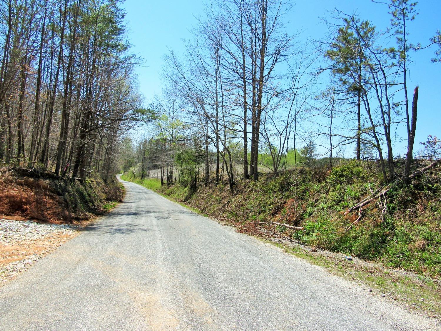 Union Hill Drive, Wingina, Virginia image 3