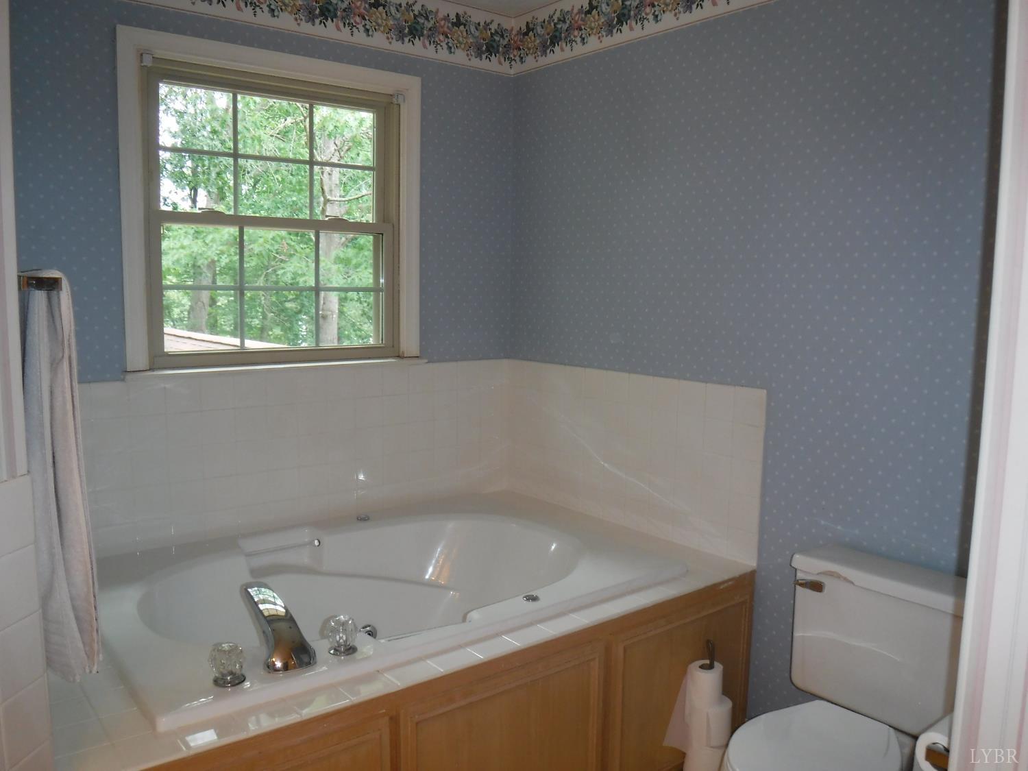 1184 Abbey Place Pl, Forest, Virginia image 50