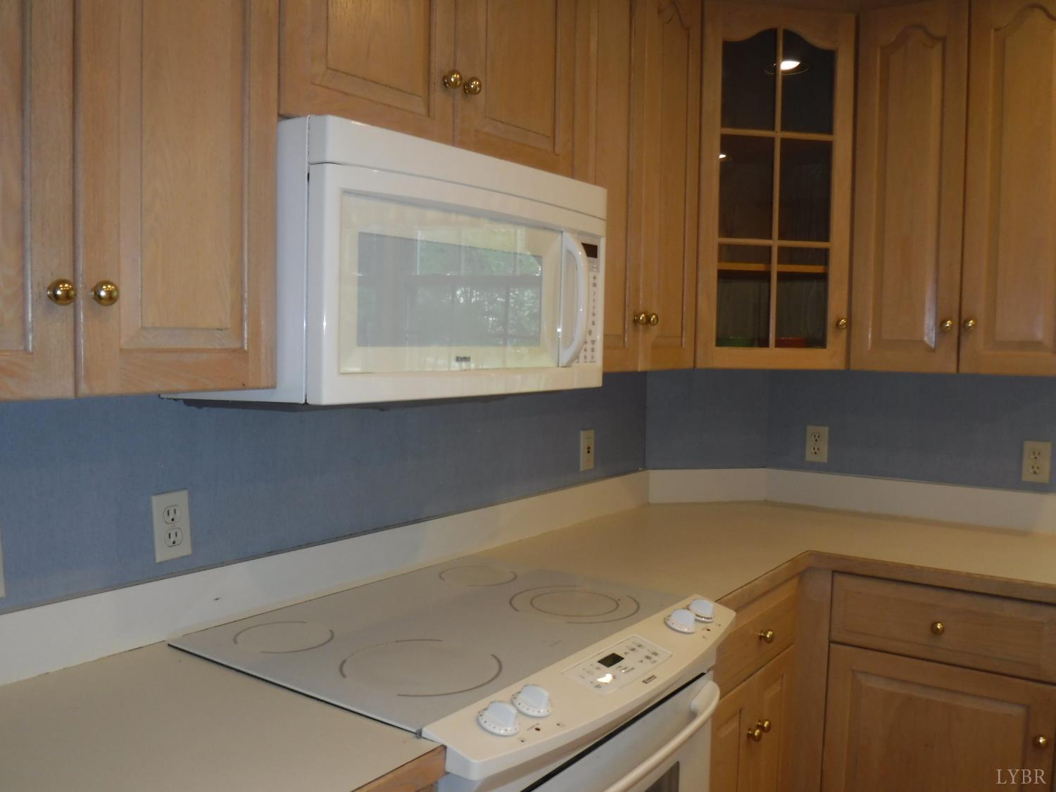 1184 Abbey Place Pl, Forest, Virginia image 26