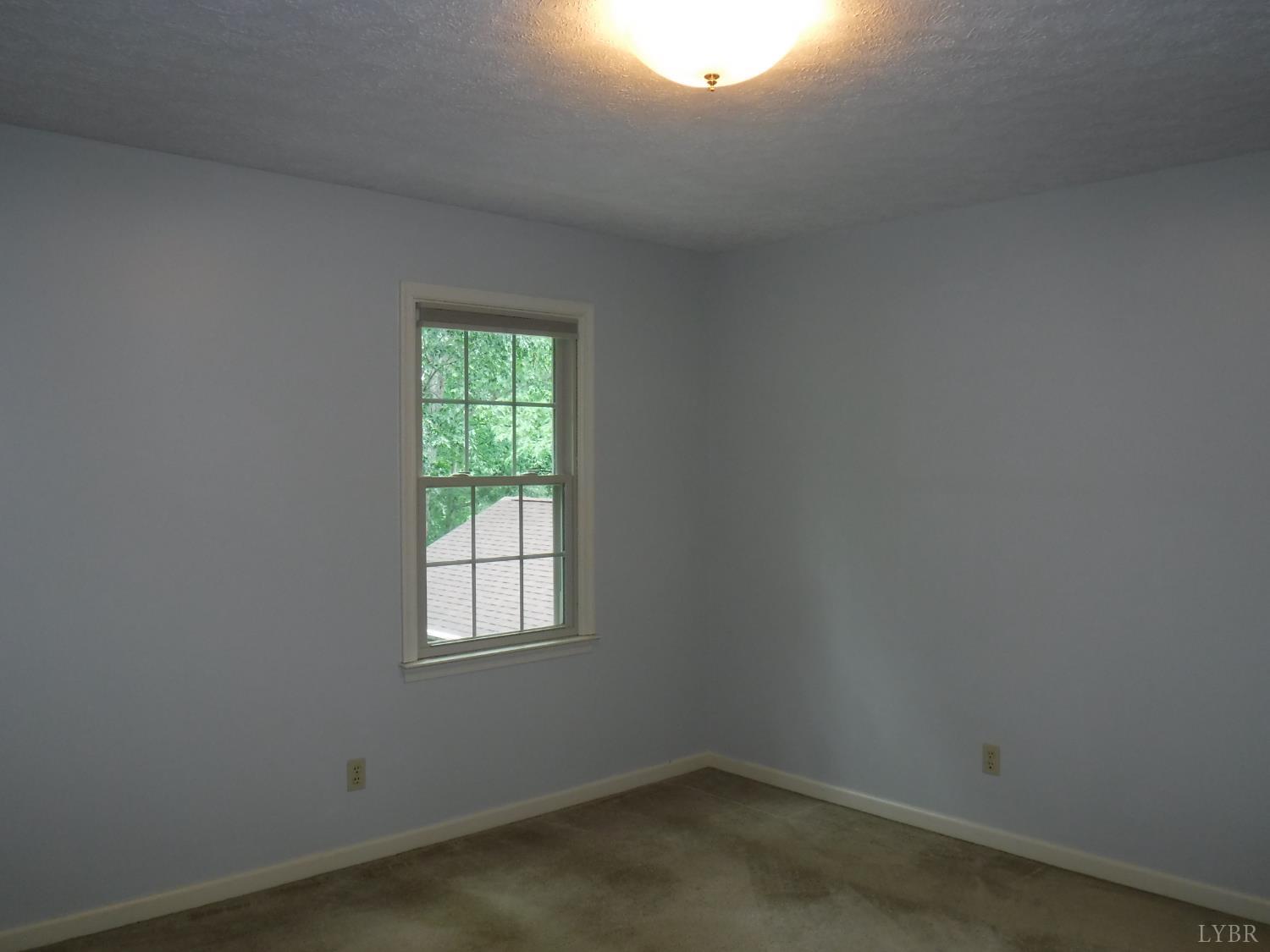 1184 Abbey Place Pl, Forest, Virginia image 43