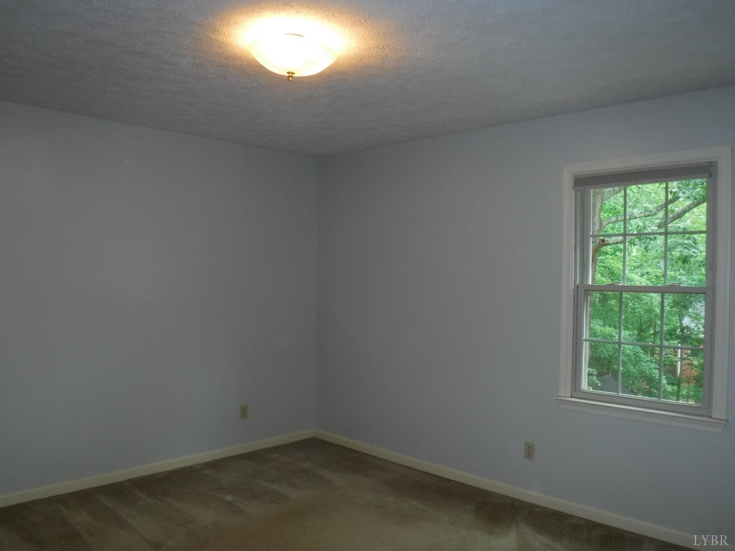 1184 Abbey Place Pl, Forest, Virginia image 42