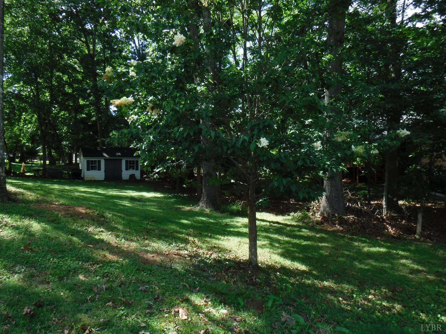 1184 Abbey Place Pl, Forest, Virginia image 8