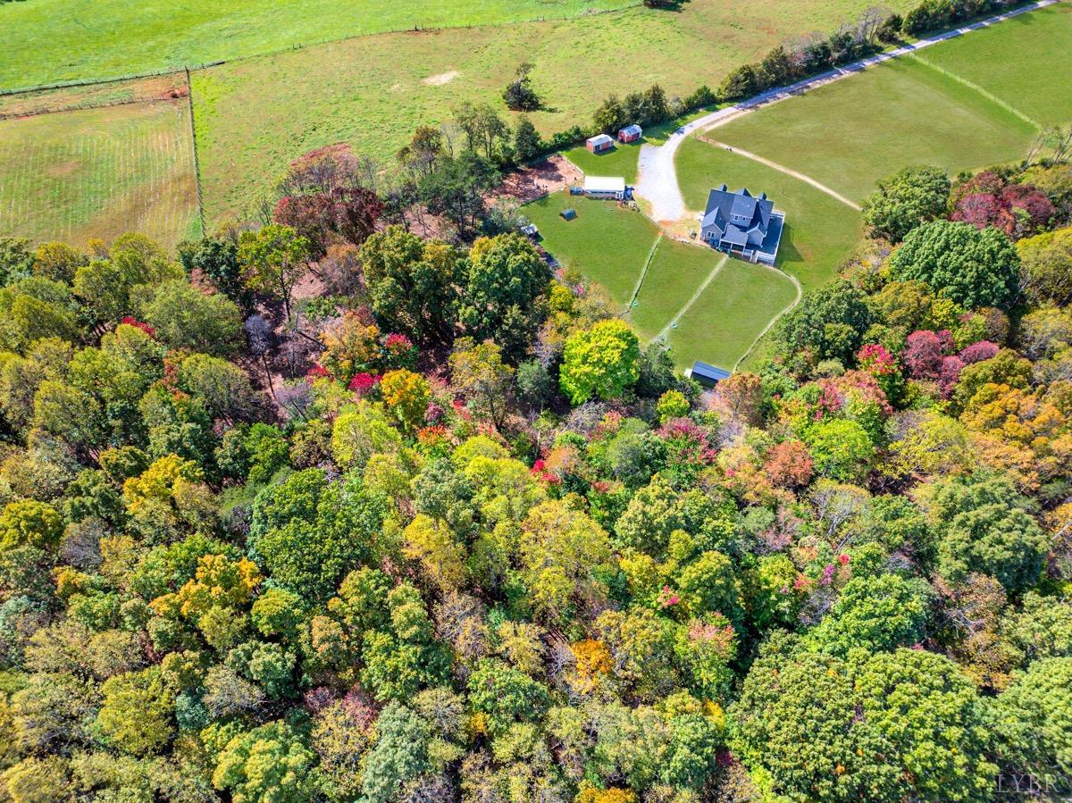 1169 Mountain Creek Lane, Big Island, Virginia image 15