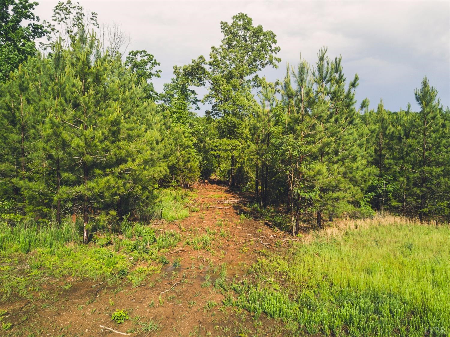 Bradley Creek, Nathalie, Virginia image 1