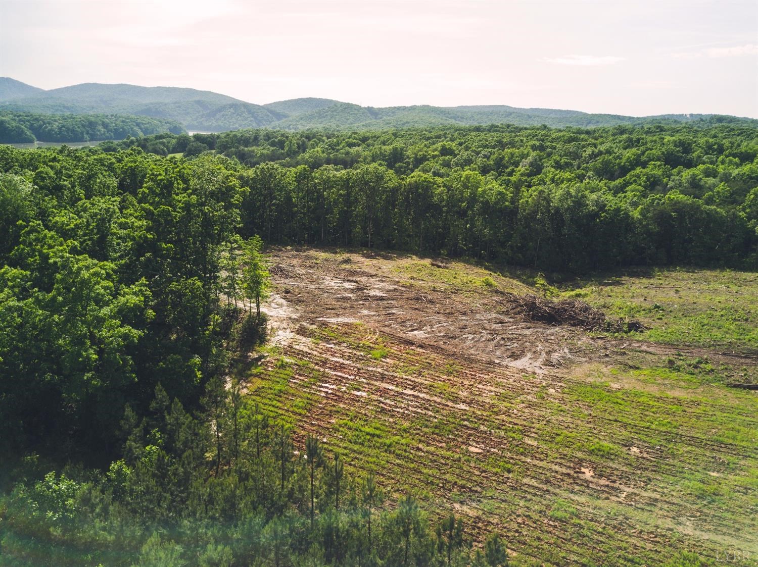 Bradley Creek, Nathalie, Virginia image 8