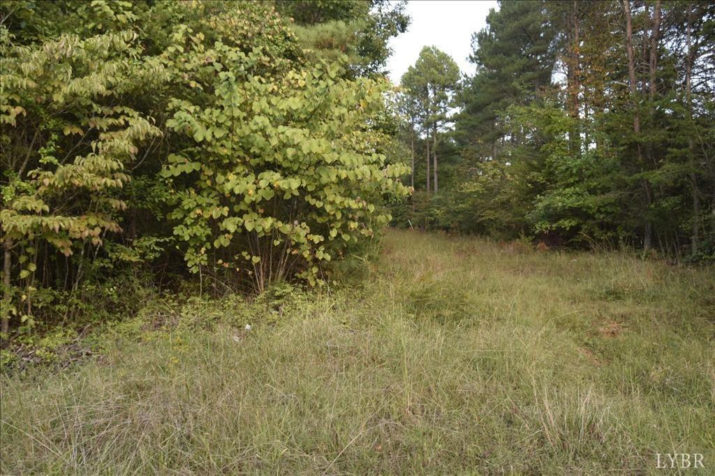 1046 Lancaster Lane, Lynch Station, Virginia image 1