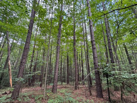 Photo of 0 Holiday Lake Road, Appomattox, VA 24522 (MLS # 361182)