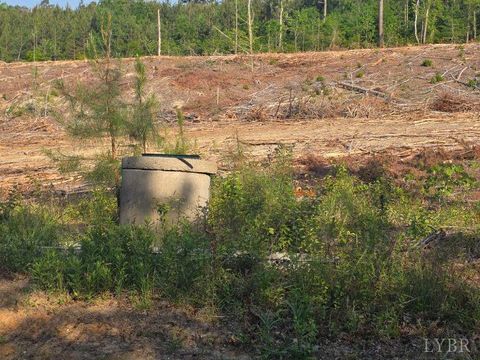 Tiny photo for 5367 Lunenburg County Road, Keysville, VA 23947 (MLS # 366763)