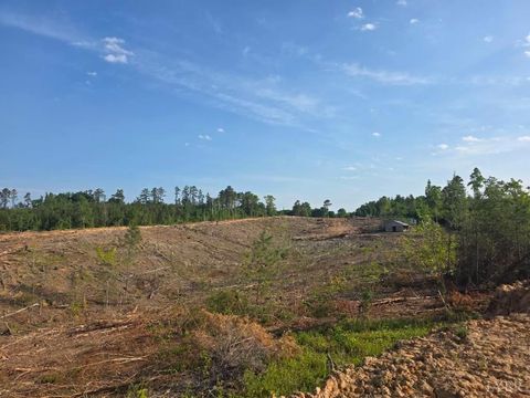 Tiny photo for 5367 Lunenburg County Road, Keysville, VA 23947 (MLS # 366763)