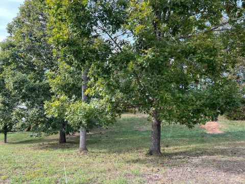 Tiny photo for 0 High Grove Lane, Forest, VA 24551 (MLS # 362483)